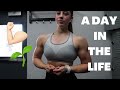 A Day in the Life of a Vegan Bodybuilder | What I eat + Push workout