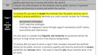 C0429 Unit 3 Assignment 3