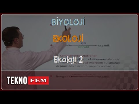 YGS-LYS BİYOLOJİ - Ekoloji 2