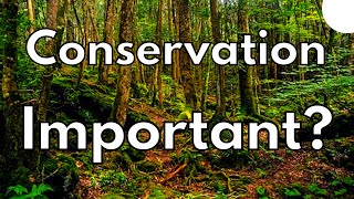 What is Wildlife Conservation and Why does it Matter to You? (2023)