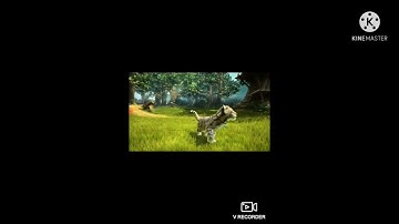 What did you think about my Wildest Zoo Trick?.