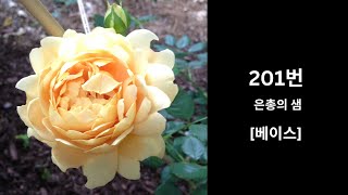 성심 ㅣ 은총의 샘 [베이스] ㅣ 가톨릭 성가 201번 ㅣ 멜로디+오르간 ㅣ 파트연습