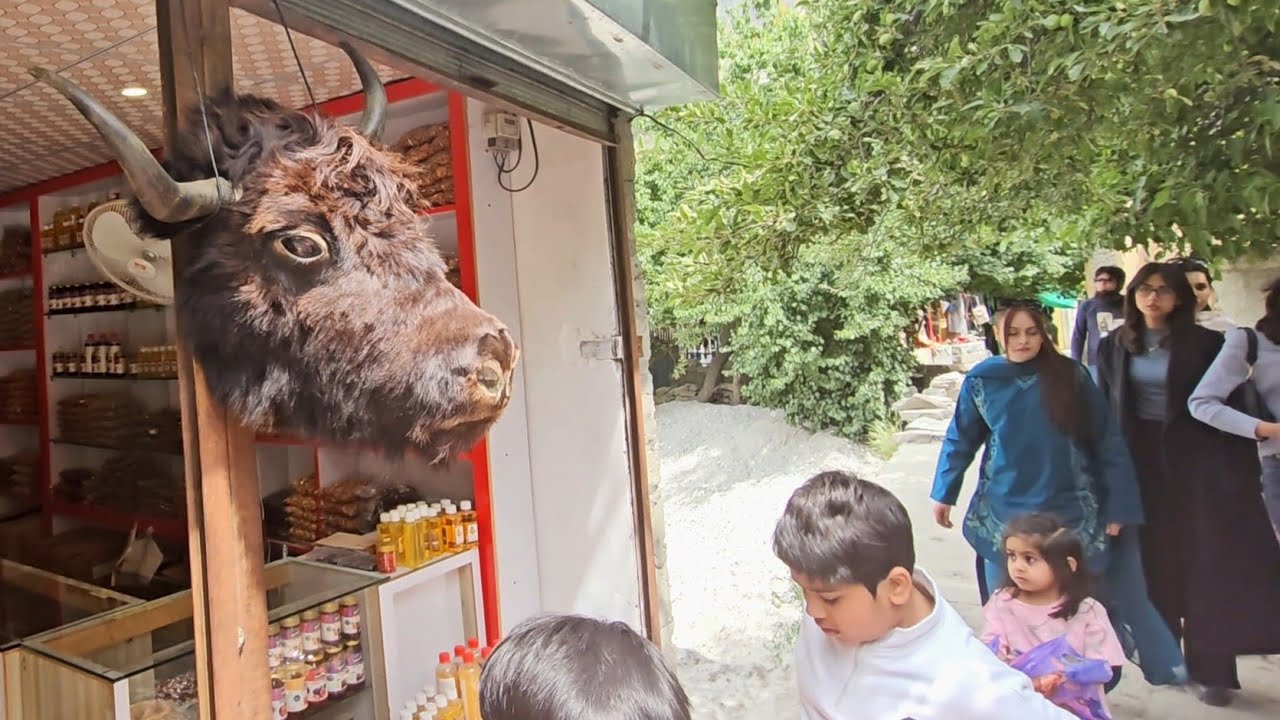 crazy guide / altit fort /Hunza /Gilgit  @Ustad Sahab Ki Duniya,