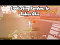 Eradicating randoms and people roblox ohio