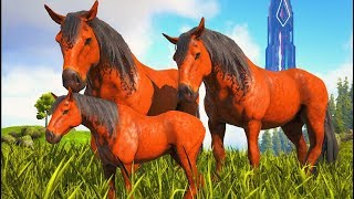 Bebê Cavalo Selvagem,Mim Deparei Com Um Carnivoro Cruel No Campo Da Paz!  Ark Dino Evolved (PT/BR) 