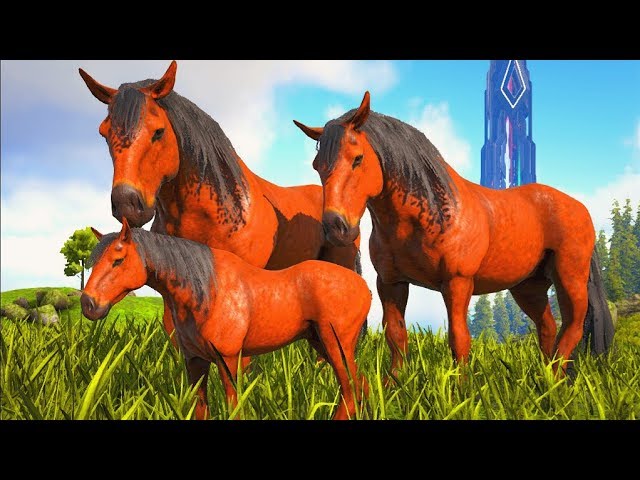 Bebê Cavalo Selvagem,Mim Deparei Com Um Carnivoro Cruel No Campo Da Paz!  Ark Dino Evolved (PT/BR) 