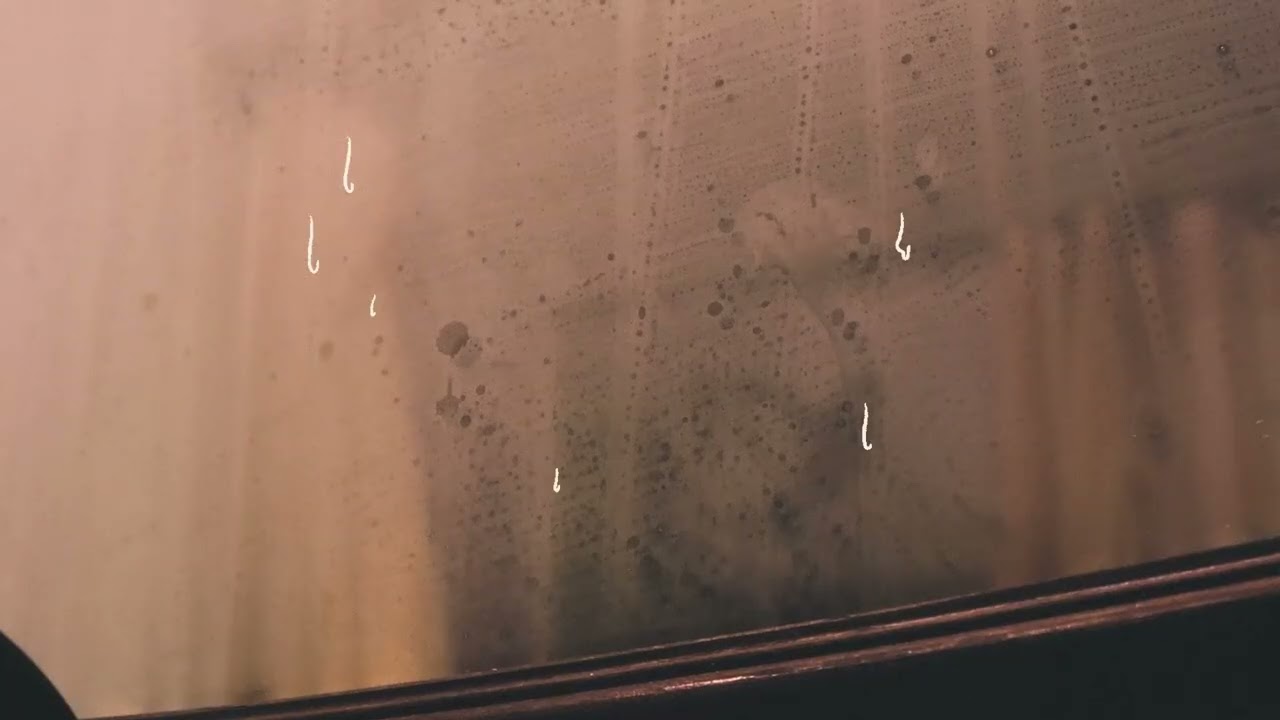 Animation Example