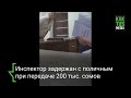Сотрудник Минстранса пытался дать в