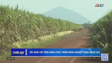 Tây Ninh với tiềm năng nông nghiệp công nghệ cao | Nóng và nổi bật | TayNinhTV