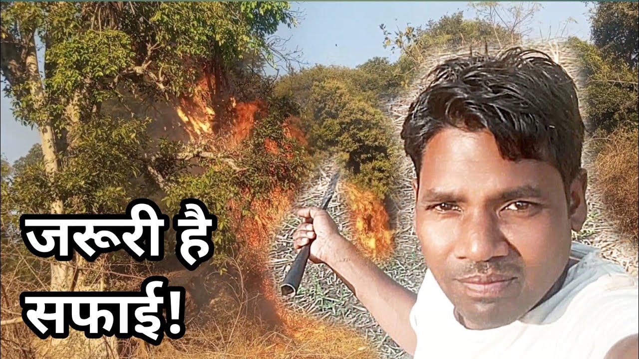 अगले साल की फसल के लिए अभी से तैयारी | Preparing for Next Year’s Crop #dailyvlog 