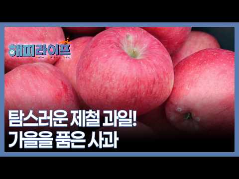 Luscious seasonal fruit! Apples that hold the essence of autumn - MBN broadcast on 09/16/26