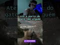 Até o gato rapa... #shorts