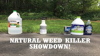 DIY Homemade Weed Killer -- How to Kill Weeds Naturally