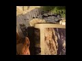 photo transfer - gelli plate