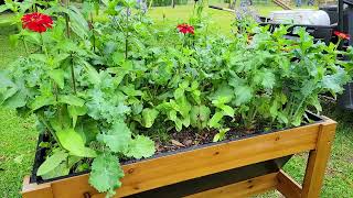 You CAN Grow in a STAND UP Planter!