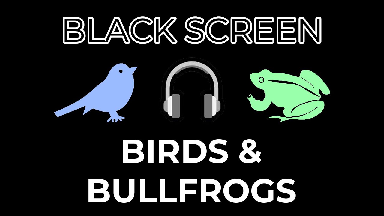 Birds & Bullfrog Sounds For Sleeping | Black Screen (8 Hours)