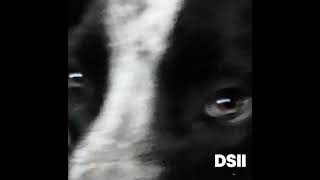 March - Don’t Smile II (Bonus Track)