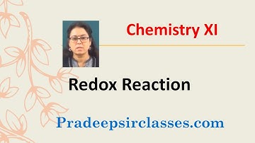 CHEM XI 8-01 Redox Reaction Pradeep Kshetrapal Physics channel