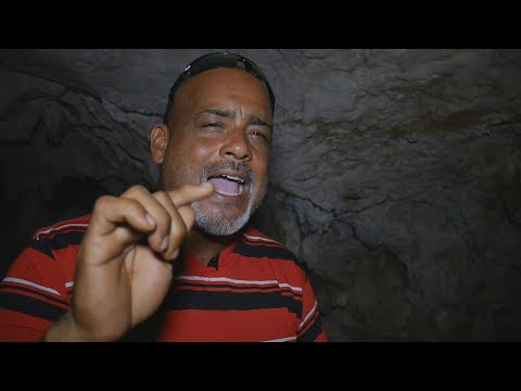 Vídeo: Encuentros Con Extrañas Criaturas En Puerto Rico - Vista Alternativa