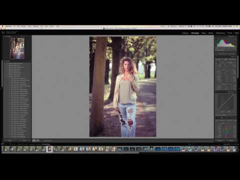 Video: Come aggiungere i pennelli a Lightroom?