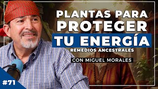 Plantas Sagradas Para Protegerte De Energías Densas, Envidia Y Ansiedad Vidente Miguel