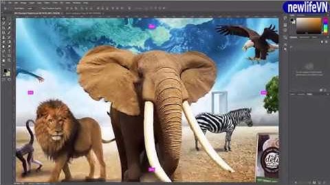 Tự học Photoshop CC 2020 từ a-z | Bài 3 : TÁCH ẢNH CÁT ẢNH VỚI SELECTION Phần 1 -Bài thực hành số 1