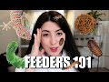 5 Feeder Insects for Pet Reptiles and Amphibians | Emzotic