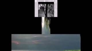 Hastane Önünde İnci̇r Ağaci