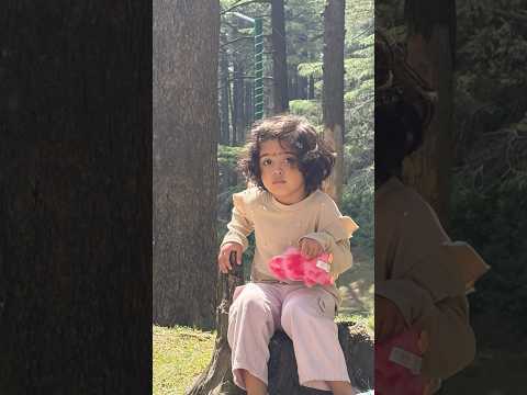 #familyfun #picnic #instareels #patnitop #hillstation