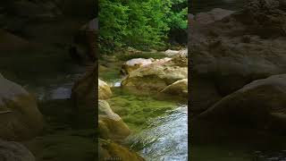 Awakening Summer Nature for the Best Start of the Day - Mountain Summer Stream #shorts