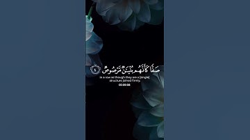(إن الله يحب الذين يقاتلون في سبيله صفا)القارئ:  يوسف الصقير