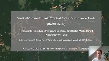 SENTINEL-1-BASED HUMID TROPICAL FOREST DISTURBANCE ALERTS FOR AFRICA