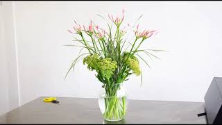 Jane Packer Vase Arrangement Nerines & Sedum
