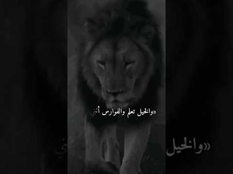 الخيل تعلم والفوارس أنني شيخ الحروب