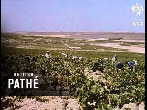 Video: Cât costa pantofii în 1969?