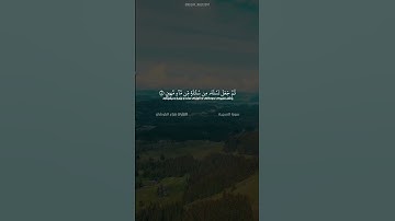سورة السجدة الآية ٧ - ١٠ القارئ هزاع البلوشي