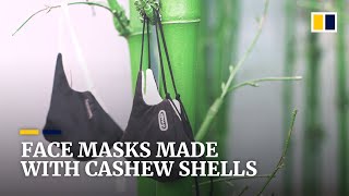 Face masks made with cashew nut shells developed in Singapore offer antimicrobial protection