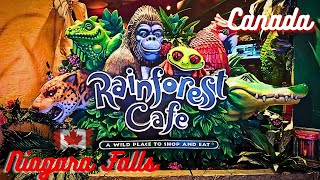 Rainforest Cafe Niagara Falls, Dining in the Wild: Canada Adventure by Travel & Taste Tales 199 views 1 month ago 8 minutes, 8 seconds