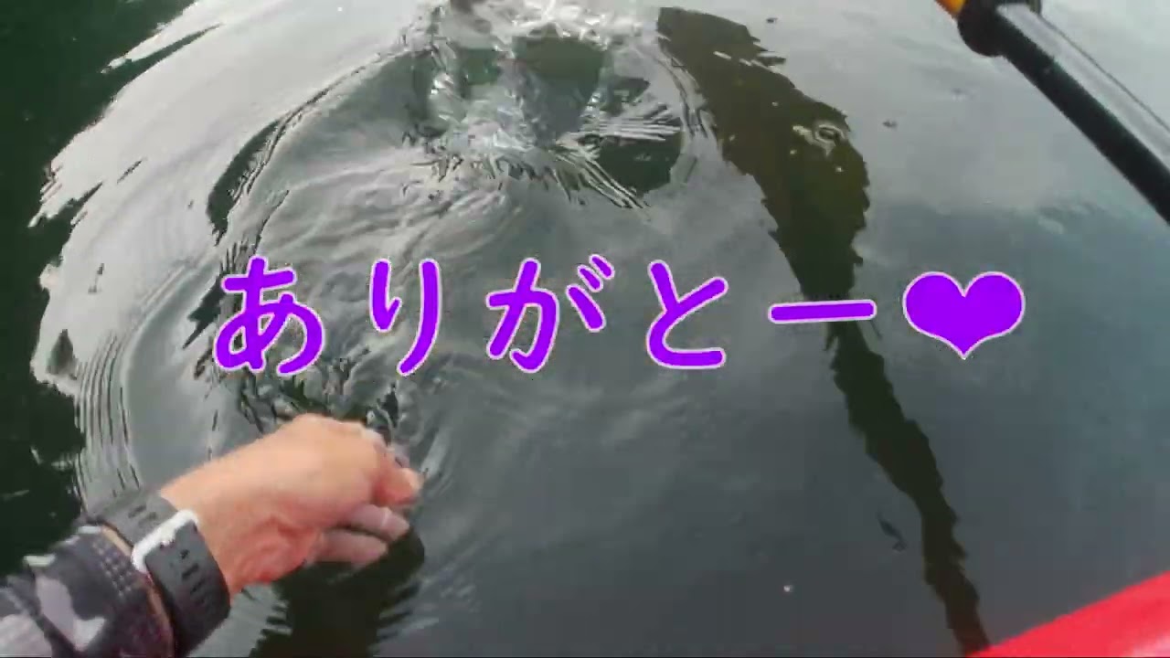 タムタム Bass Fishing vol32 今日は○○パクの日！？