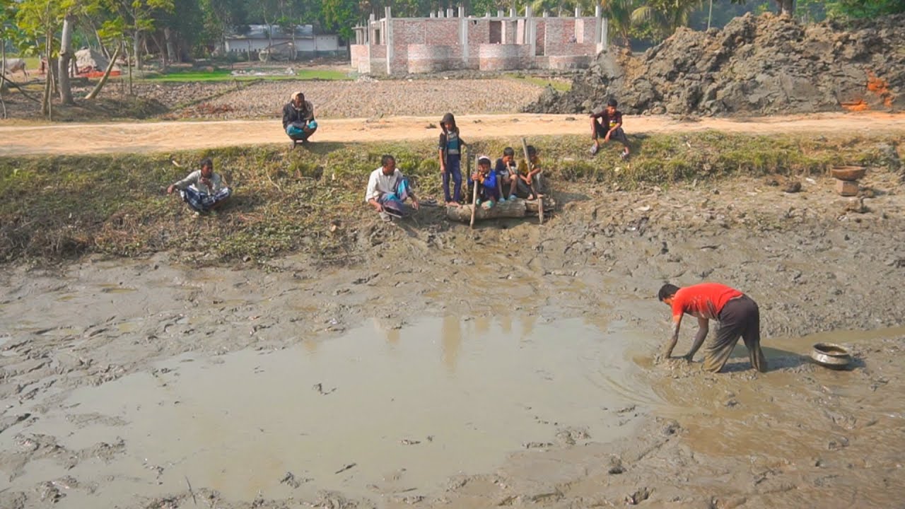 Hand Fishing | Catching Fish From Muddy Water | Hand Fishing in Village @ABTVbd