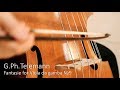 Telemann - Fantasie for Viola da gamba №9. Pavel Serbin