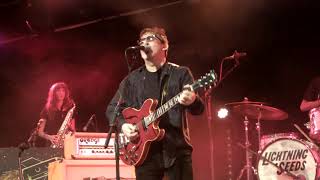LIGHTNING SEEDS -  Lucky You