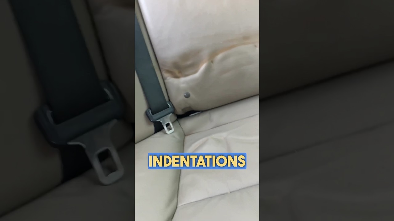 THIS saved our car | PIDO Car Seat Protector