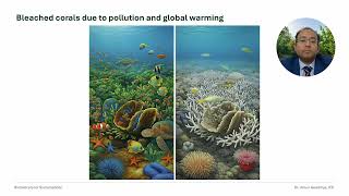 Lecture 19: Population decline and Extinction - 2