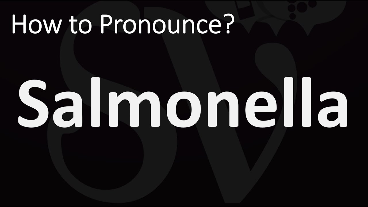 How To Pronounce Salmonella? (Correctly)
