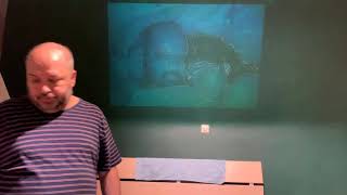 Download Lagu Muurschildering slaapkamer MP3