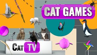Cat Games | Ultimate Cat TV Compilation Vol 15 | 2 HOURS  🐇🎣🎈🦜🐜🐭🐝🐞🦋🦎 screenshot 2