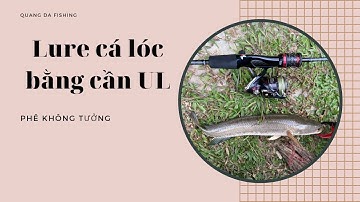 Lure cá lóc bằng cần UL | Phê không tưởng | Cá ăn liên tục