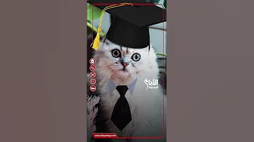 قطة في حفلة التخرج شوف اللي حصل 