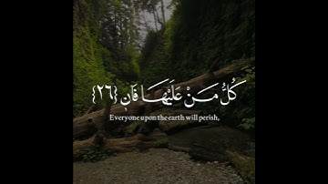 اروع تلاوة القران الكريم ب صوت القارئ ياسر الدوسرى سورة الرحمن آجمل حالات واتس اب قرآنيه
